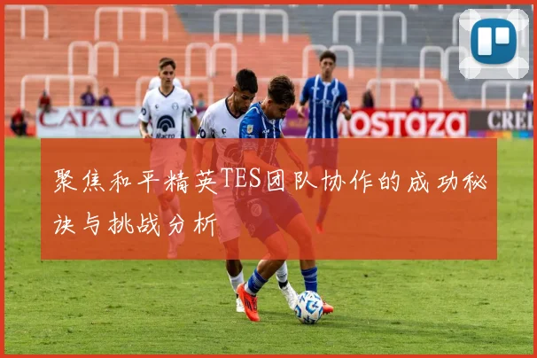聚焦和平精英TES团队协作的成功秘诀与挑战分析